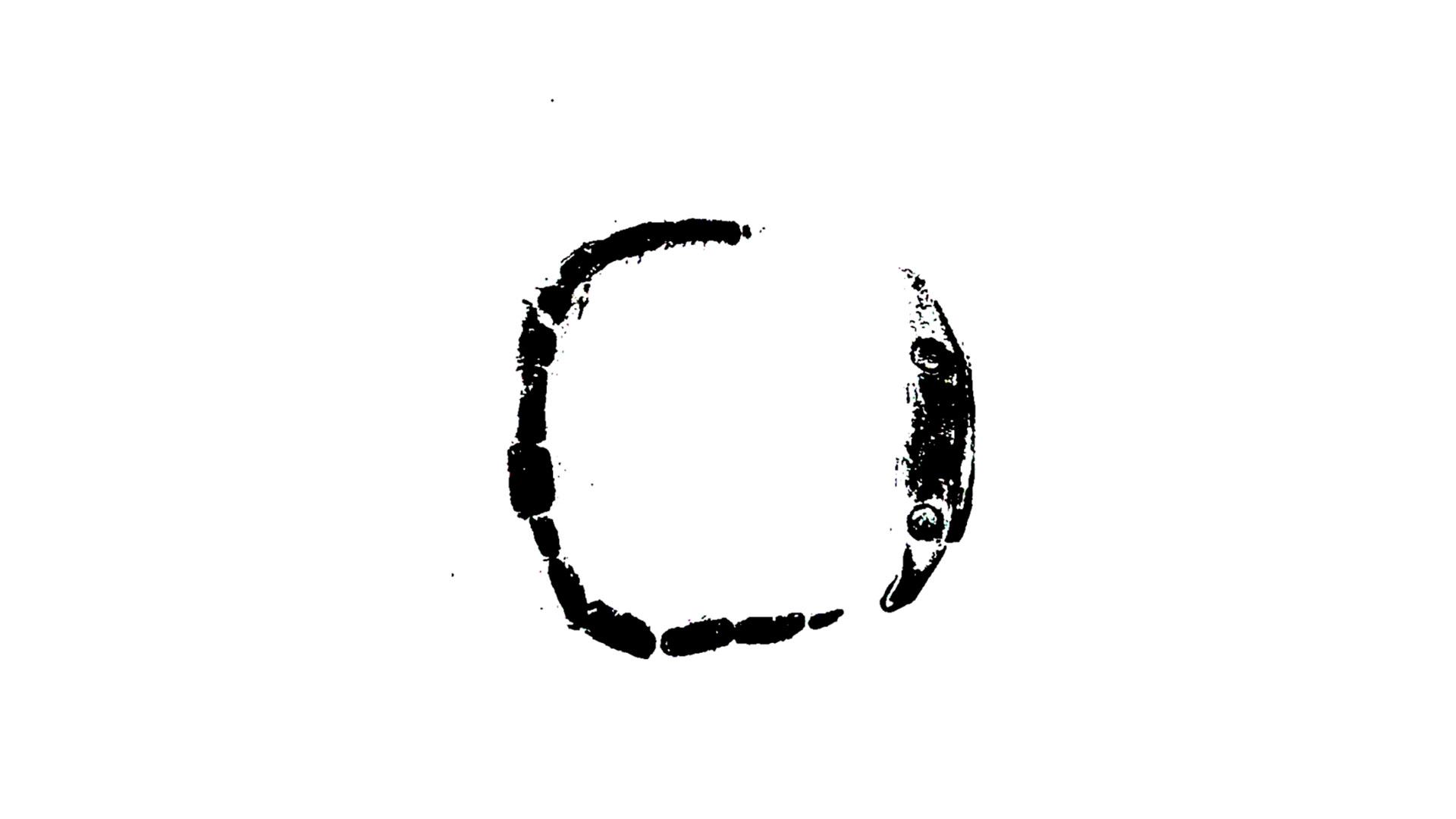 作品画像5