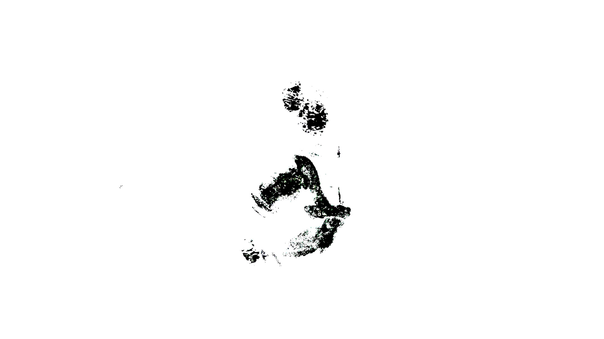 作品画像7