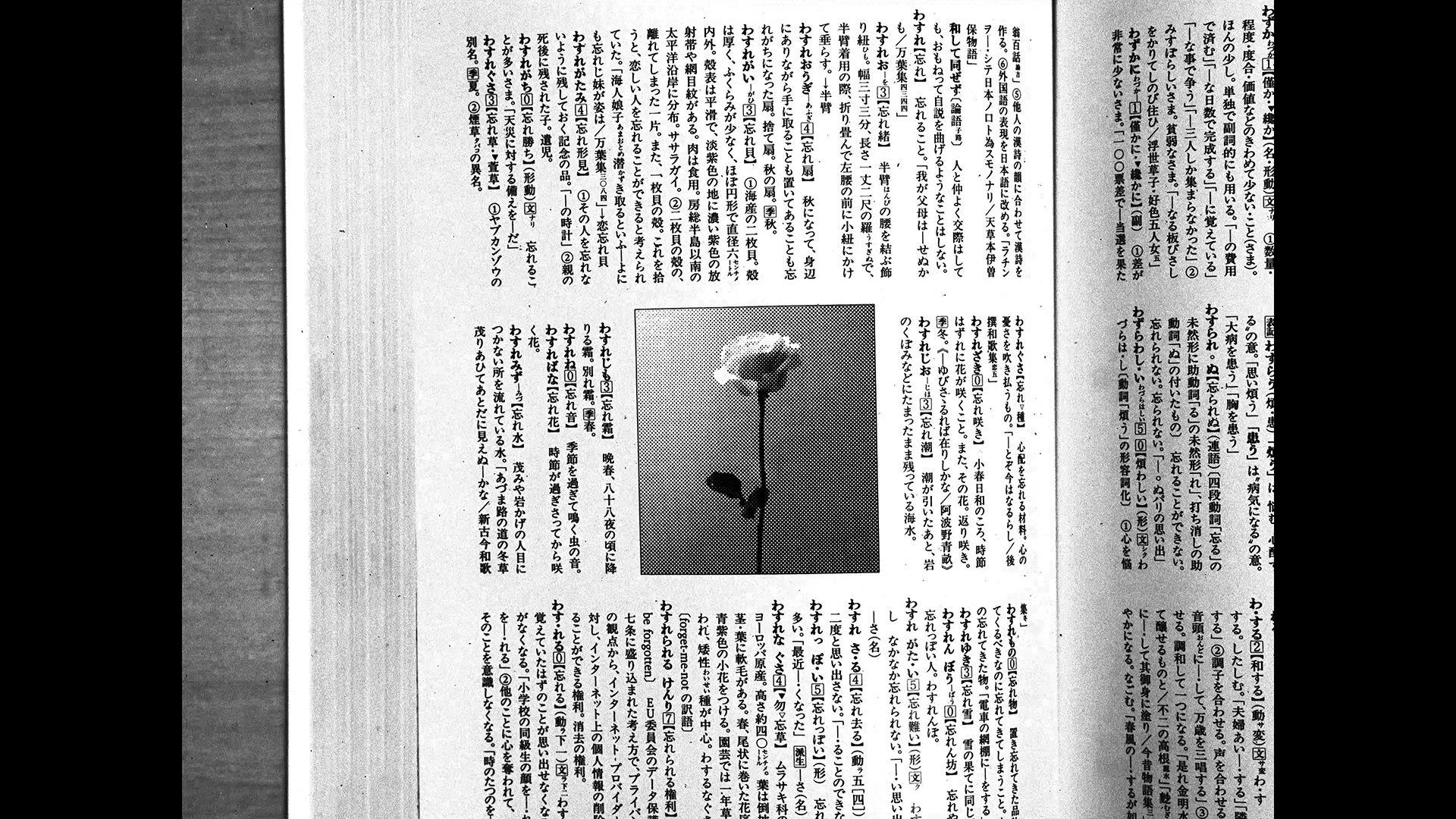 作品画像1